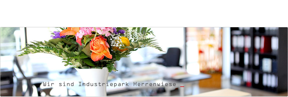 Standort mit Ideen - Industrierpark Herrenwiese